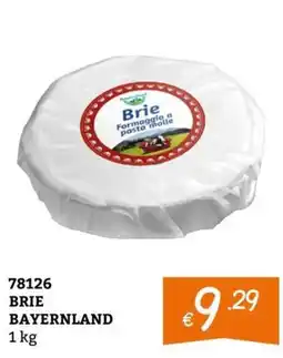 Zona Brie Bayernland offerta