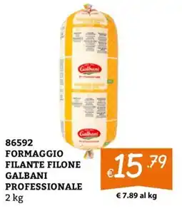 Zona Formaggio filante filone galbani professionale offerta