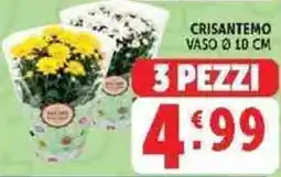 Deco Supermercati Crisantemo offerta