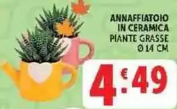 Deco Supermercati Annaffiatolo in ceramica piante grasse offerta