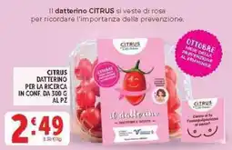 Deco Supermercati Citrus datterino per la ricerca offerta
