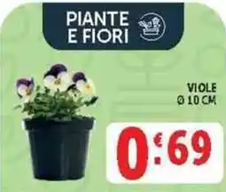 Deco Supermercati Viole offerta