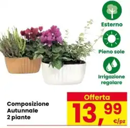 Despar Composizione Autunnale 2 piante offerta