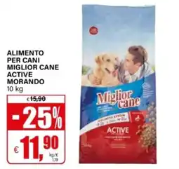 Il Gigante Alimento per cani Miglior cane Active offerta