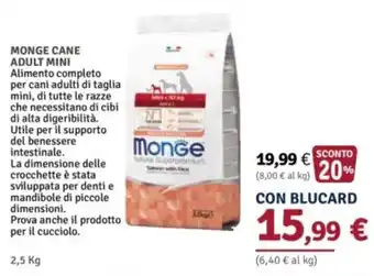 Monge cane adult mini