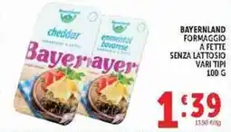 Deco Supermercati Bayermayer formaggio a fette senza lattosio offerta