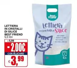Il Gigante Lettiera in cristalli di silice Best Friend offerta