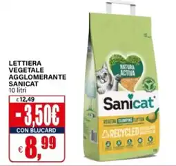 Il Gigante Lettiera vegetale agglomerante Sanicat offerta