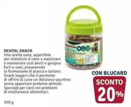 Il Gigante Dental Snack Camon offerta