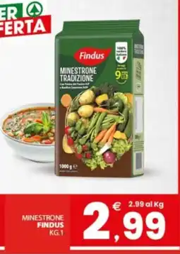 Despar Sicilia Minestrone Tradizione Findus offerta
