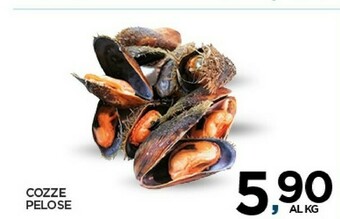 Cozze