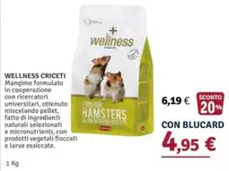 Il Gigante Wellness Criceti offerta