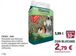 Il Gigante Fieno-Hay offerta