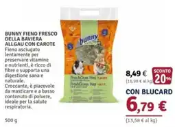 Il Gigante Bunny fieno fresco della Baviera allgau con carote offerta