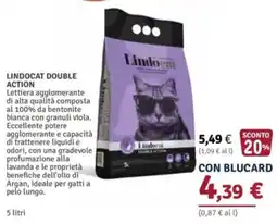 Il Gigante Lindocat Double Action offerta