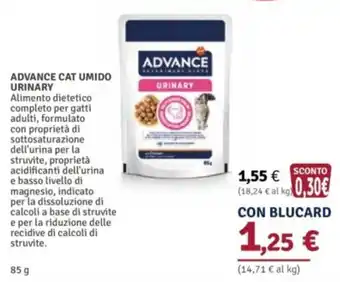 Advance cat umido urinary
