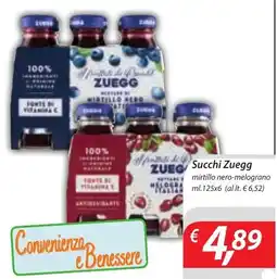 DiMeglio Succhi Zuegg offerta