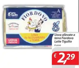 DiMeglio Uova allevate a terra Fiordovo offerta