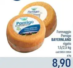 Talento Professional Store Formaggio Pamigo Bayernland offerta