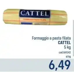 Talento Professional Store Formaggio a pasta filata Cattel offerta