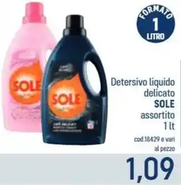Talento Professional Store Sole Detersivo liquido delicato offerta