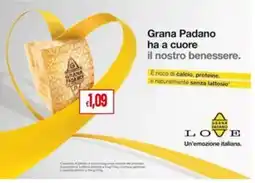 Pan Grana Padano offerta