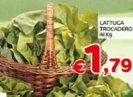 Lattuga