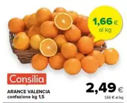 Tigre Amico Consilia Arance Valencia offerta