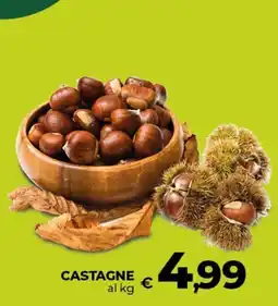 In Coop Castagne offerta