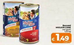Ipercoop Radenza Bocconi Miglior Cane offerta