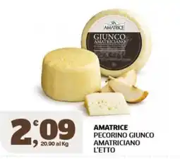 Sigma Amatrice Pecorino Giunco Amatriciano offerta