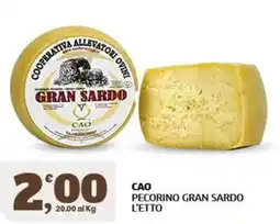 Sigma CAO Pecorino Gran Sardo offerta