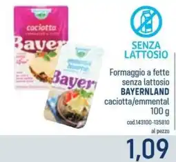 Talento Professional Store Formaggio senza lattosio Bayernland offerta