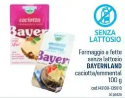 Talento Professional Store Formaggio senza lattosio Bayernland offerta