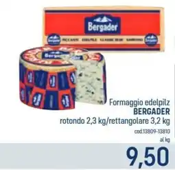 Talento Professional Store Formaggio edelpilz Bergader offerta