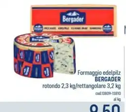 Talento Professional Store Formaggio edelpilz Bergader offerta