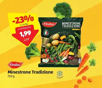 ALDI Findus Minestrone Tradizione 750g offerta