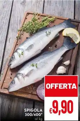 Pan Spigola offerta