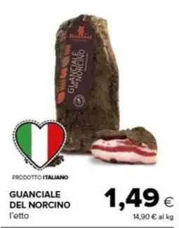Tigre Amico Guanciale del Norcino offerta