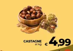 Ipercoop Radenza Castagne offerta