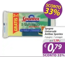 DiMeglio Spugna Universale Antibac Spontex offerta