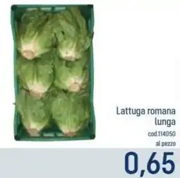 Talento Professional Store Lattuga romana lunga offerta