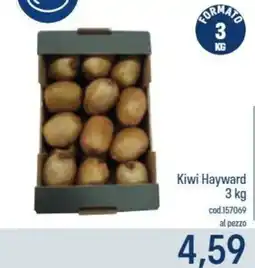 Talento Professional Store Kiwi Hayward offerta