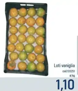 Talento Professional Store Loti vaniglia offerta