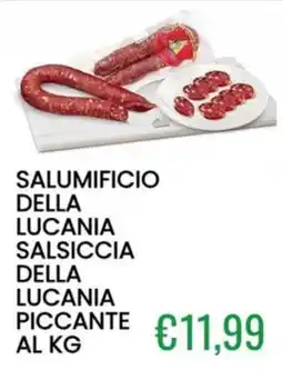 Sugros Salsiccia della Lucania piccante offerta