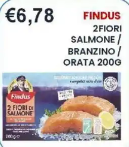 Caramico Findus 2 Fiori di Salmone offerta