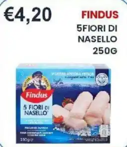 Caramico Findus 5 Fiori di Nasello offerta
