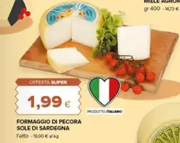 Tigre Amico Formaggio di pecora Sole di Sardegna offerta