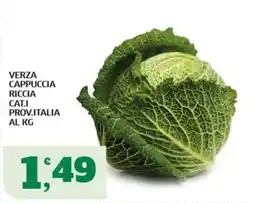 Sigma Verza cappuccia riccia offerta