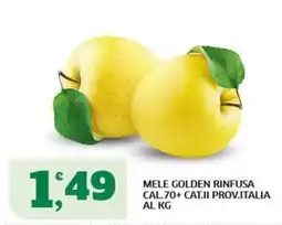 Sigma Mele Golden Rinfusa offerta
